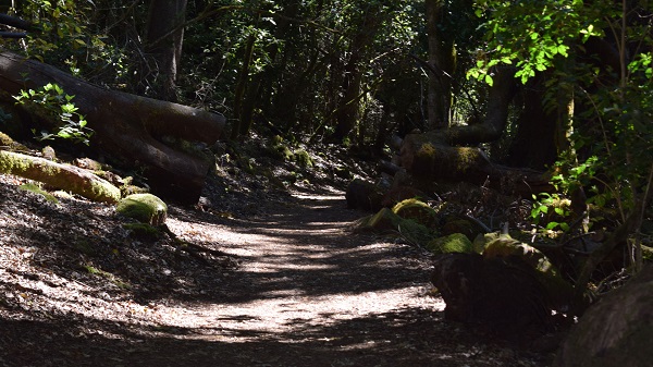 Walking Route National Park