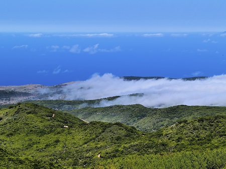 Mount Garajonay La Gomera