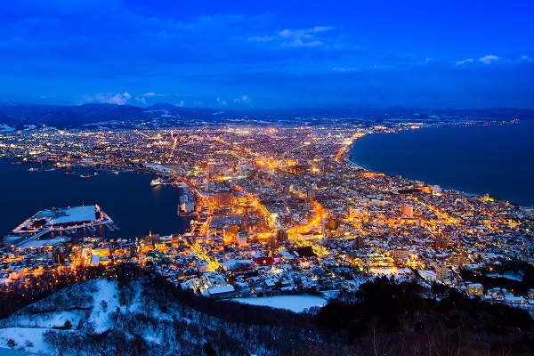 View From Mount Hakodate