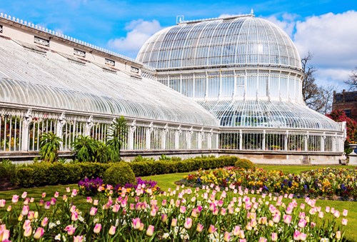 Palm House Belfast