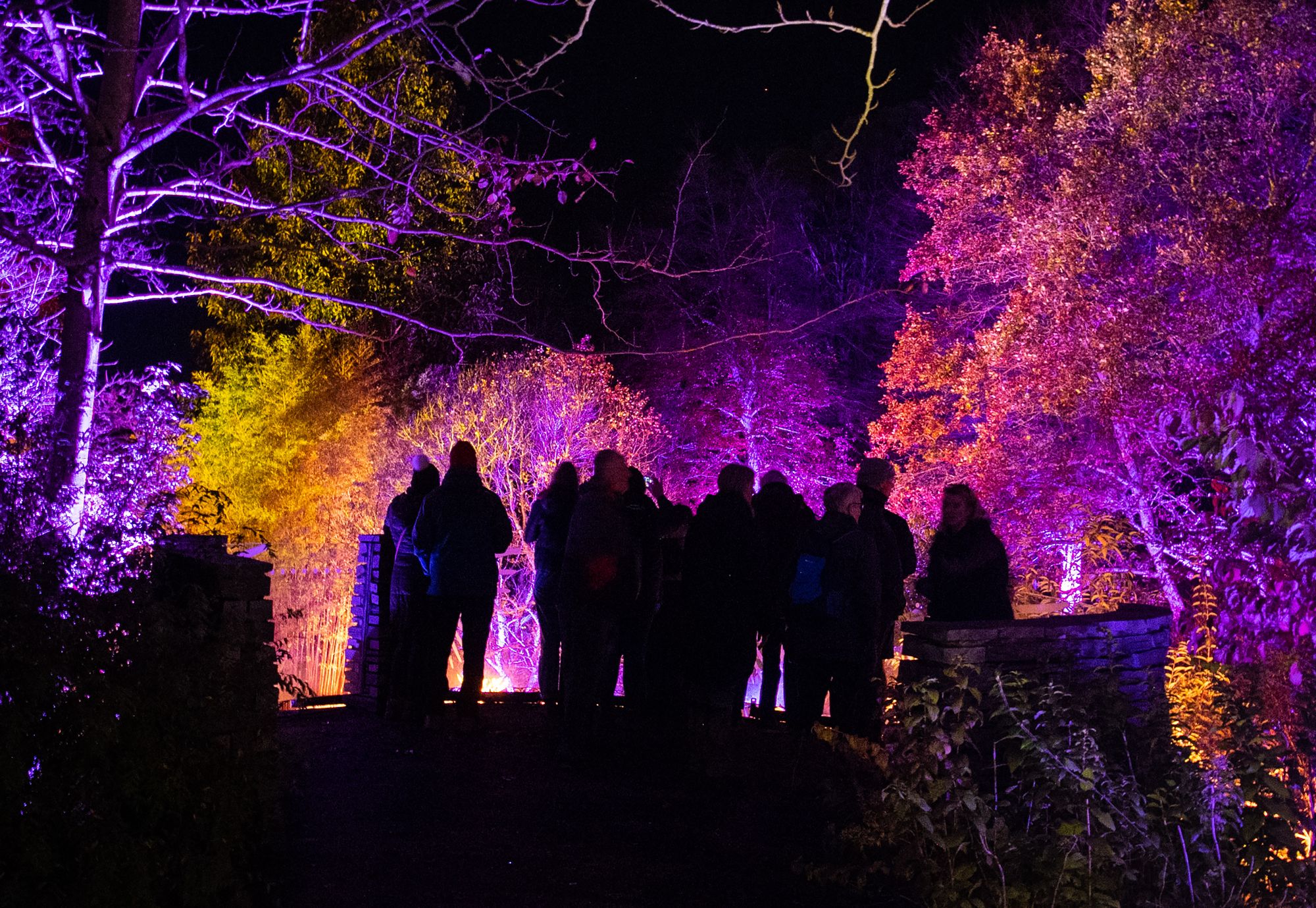 News Light Up Trails