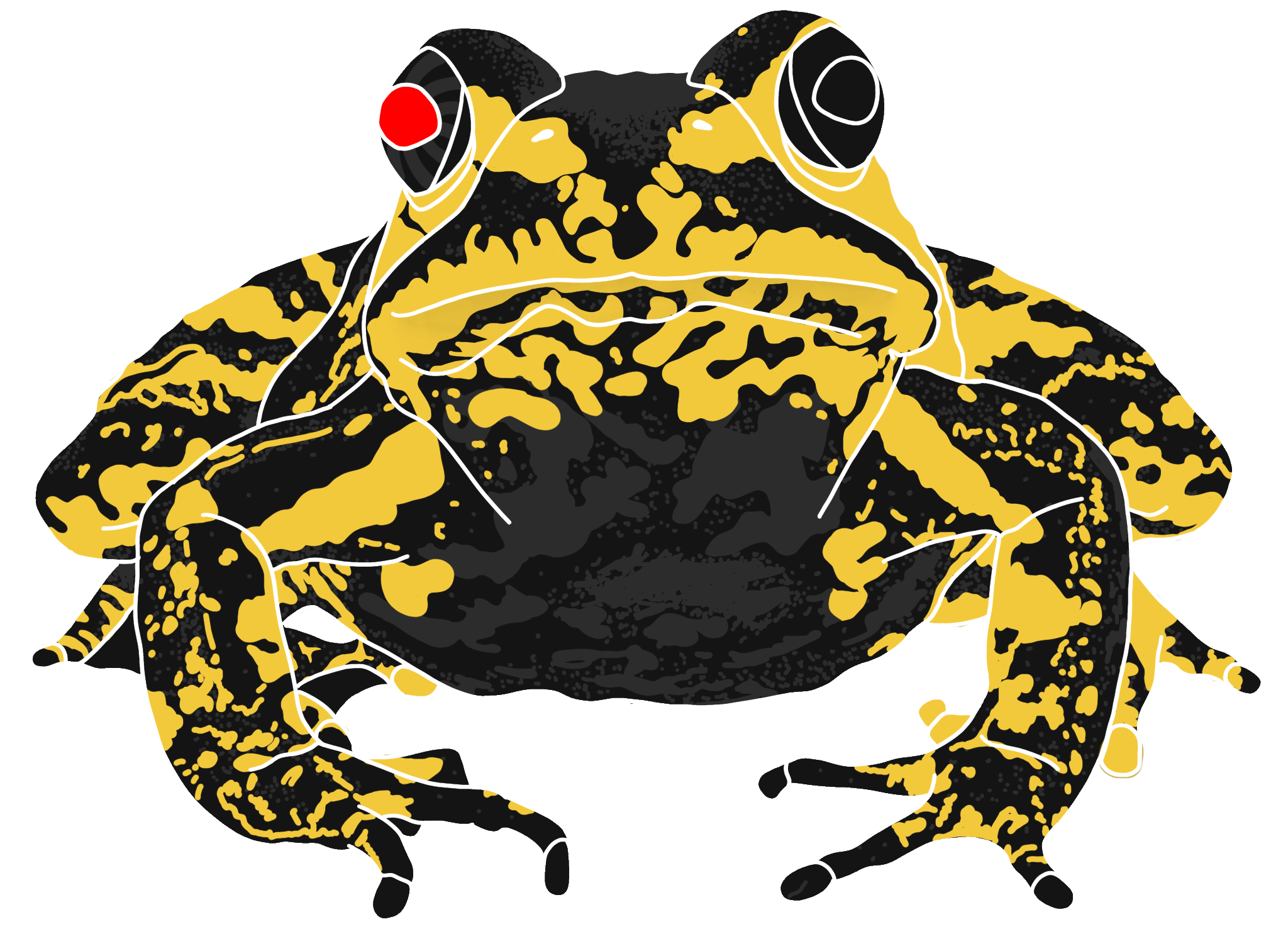 Robo Frog