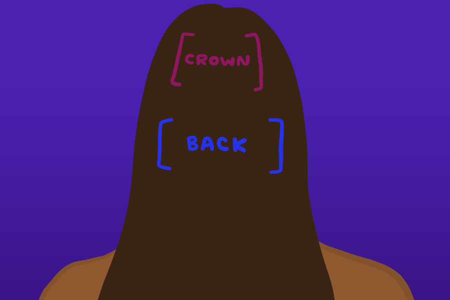 BackAndCrownHead