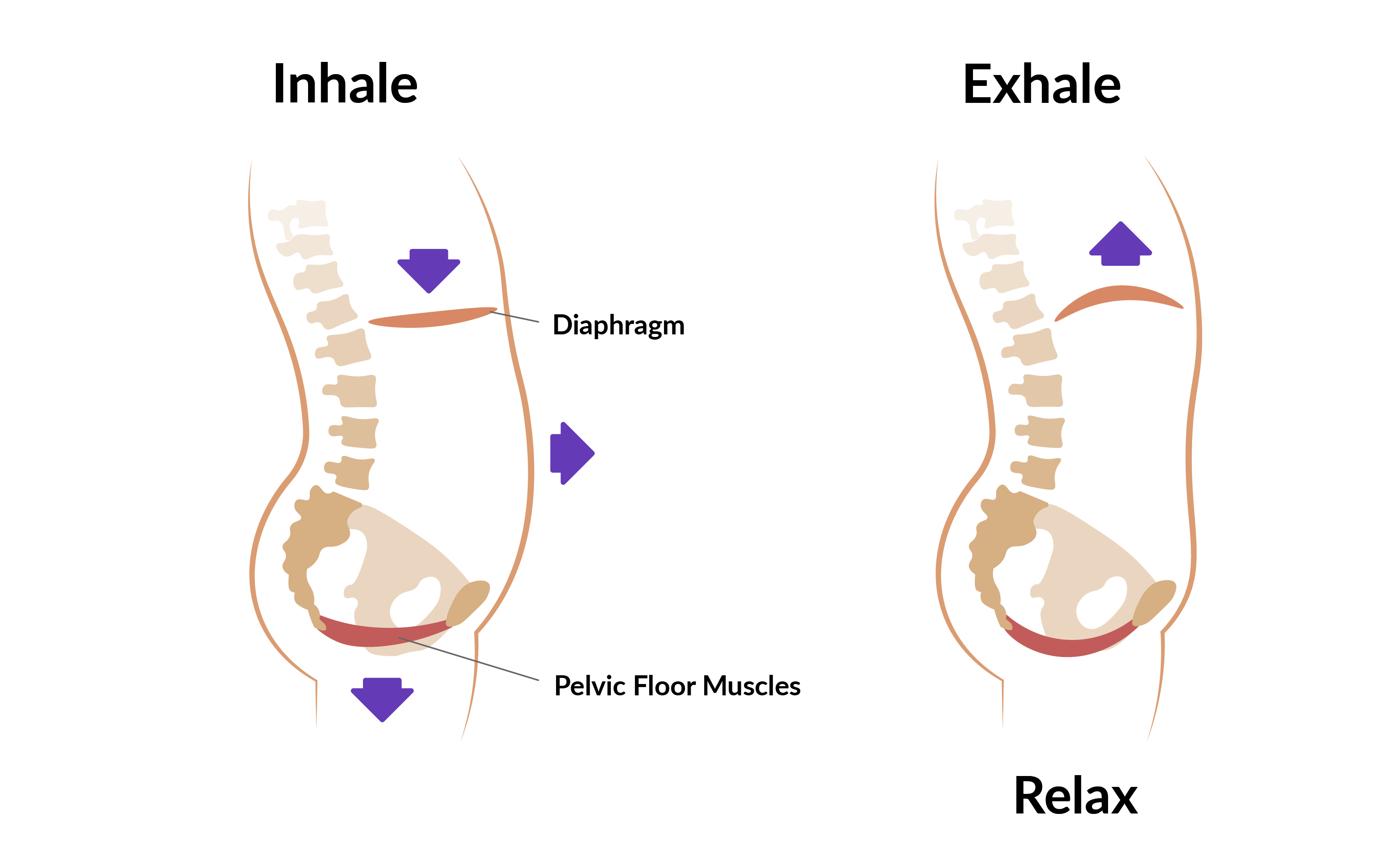 How To Relax And Stretch Your Pelvic Floor