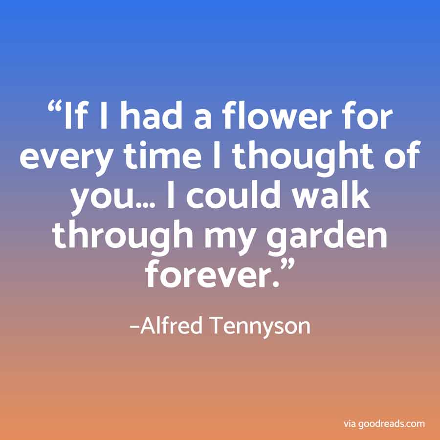 50 Best Relationship Quotes You And Your Partner Will Love