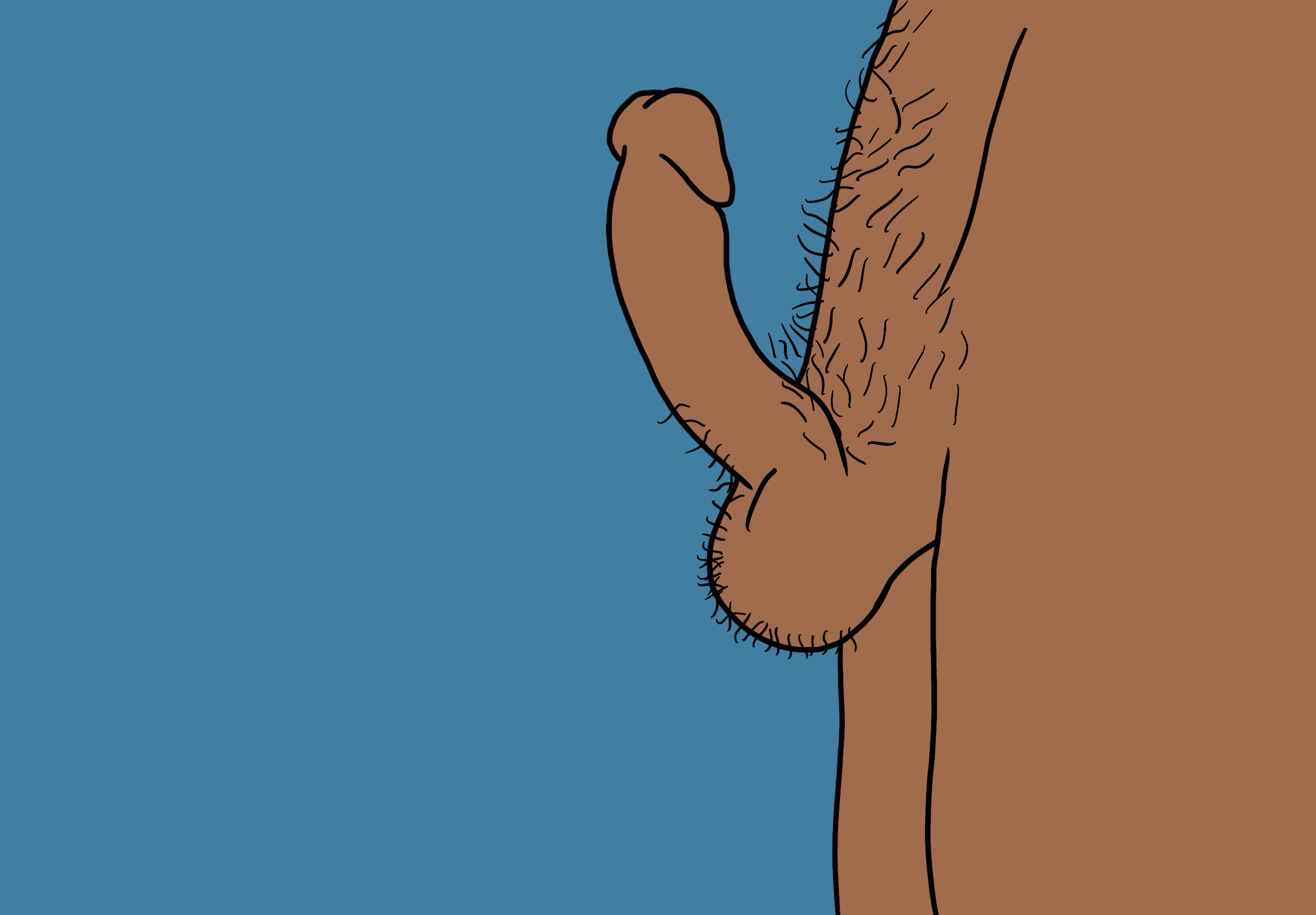 curved penis