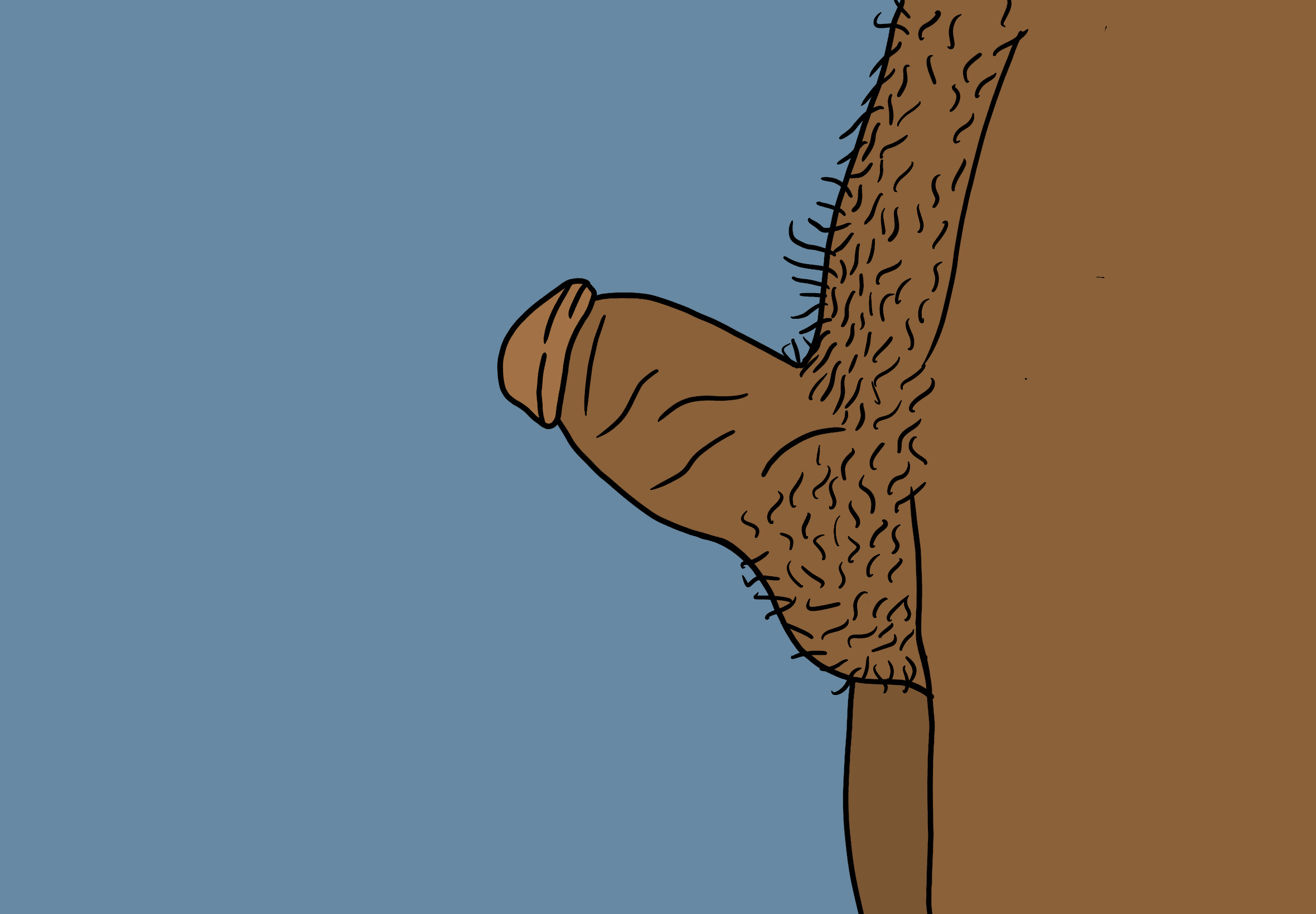 short and stout penis