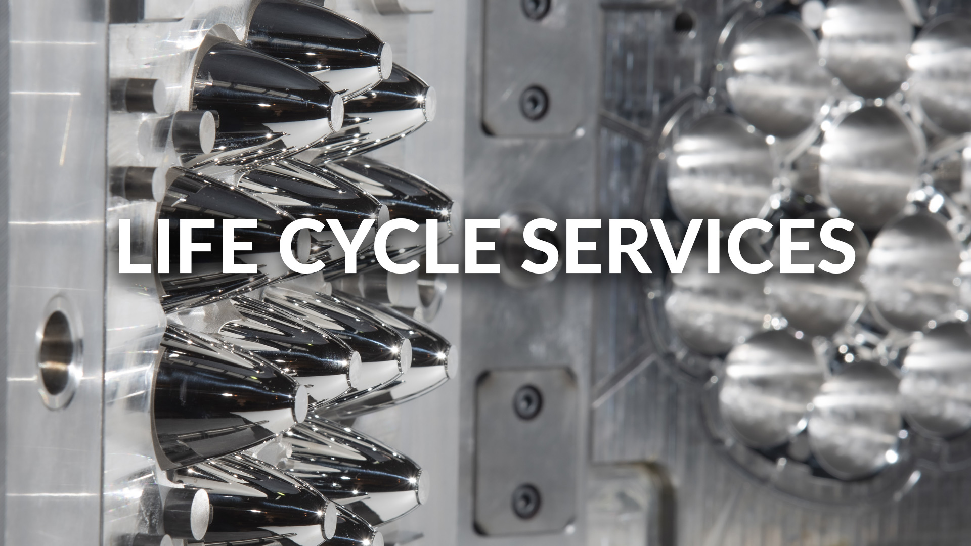 Pdat - Life Cycle Services