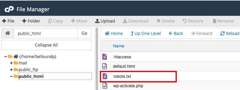 robots.txt location in file manager
