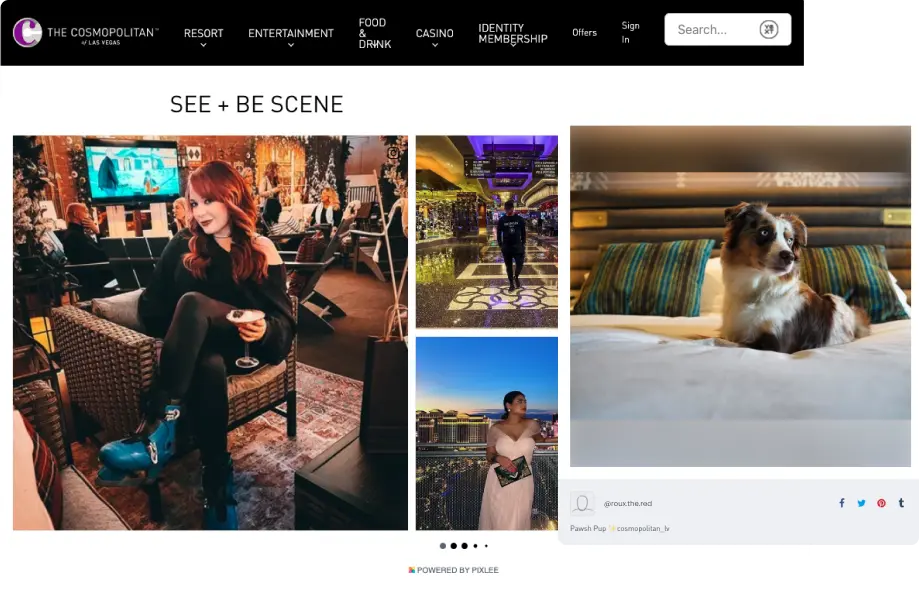 Homepage Galleries Pixlee TurnTo