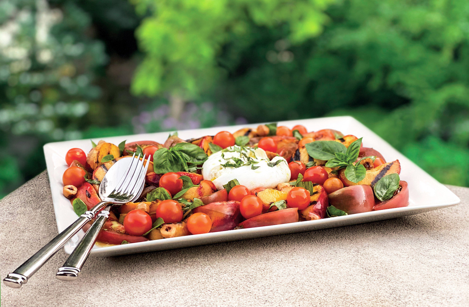 Grilled Nectarines and Burrata Salad PICAchef