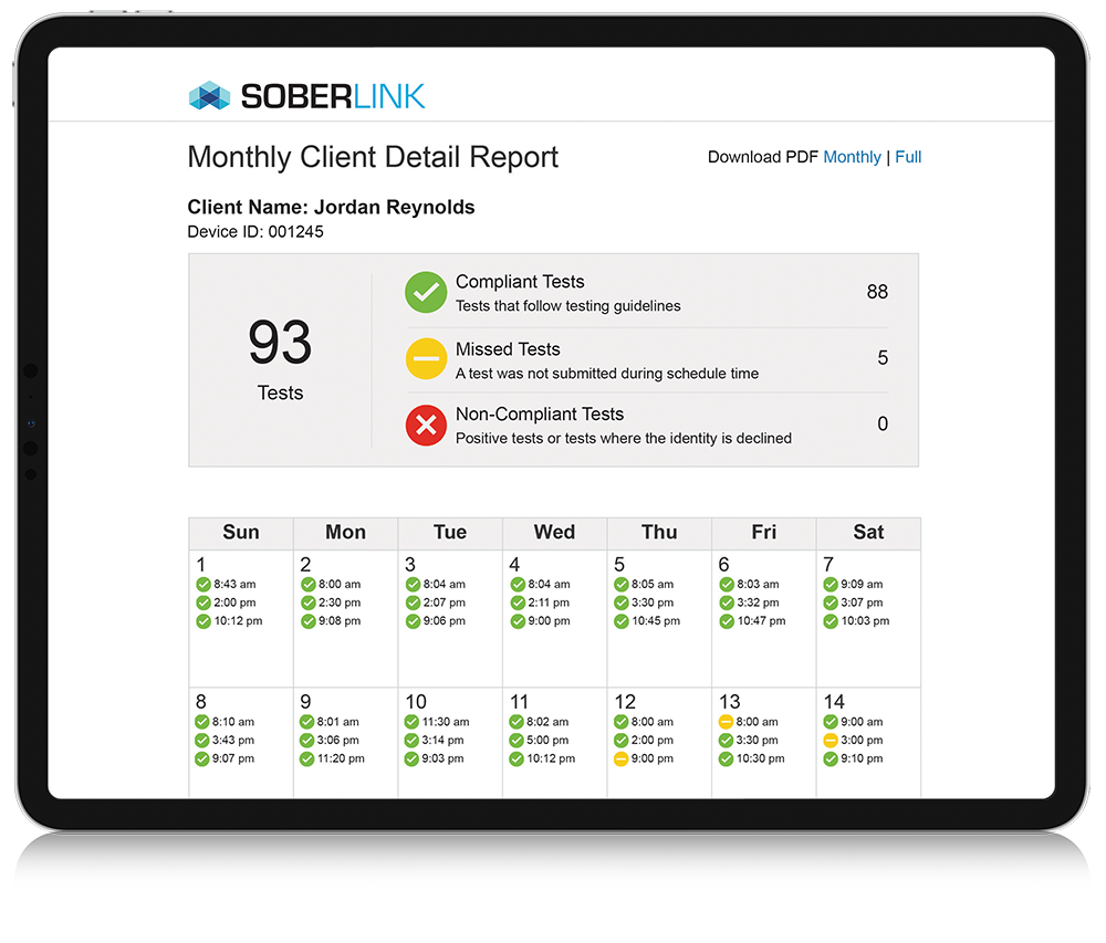 Soberlink's monthly client detail report on an iPad