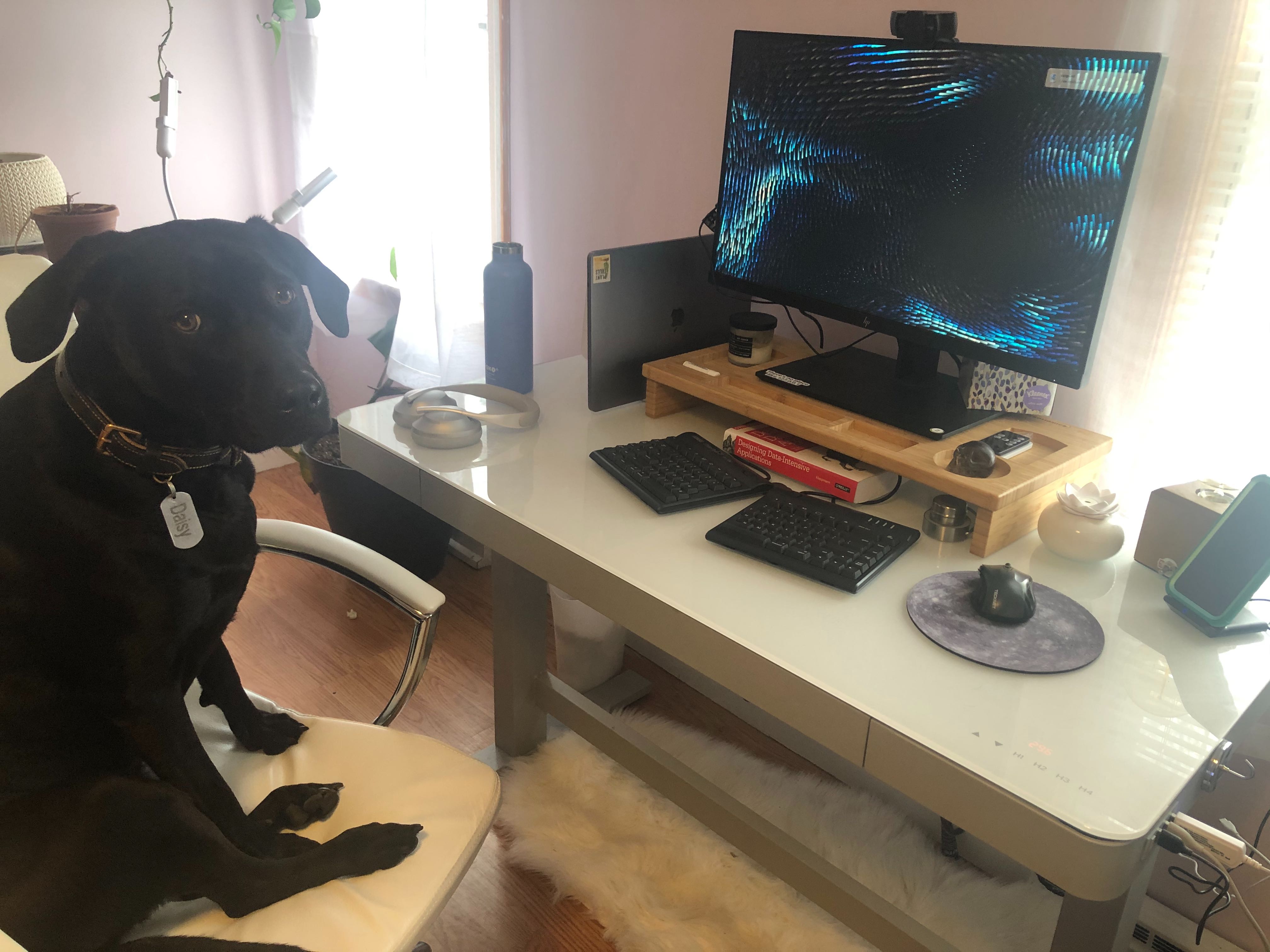 contentful