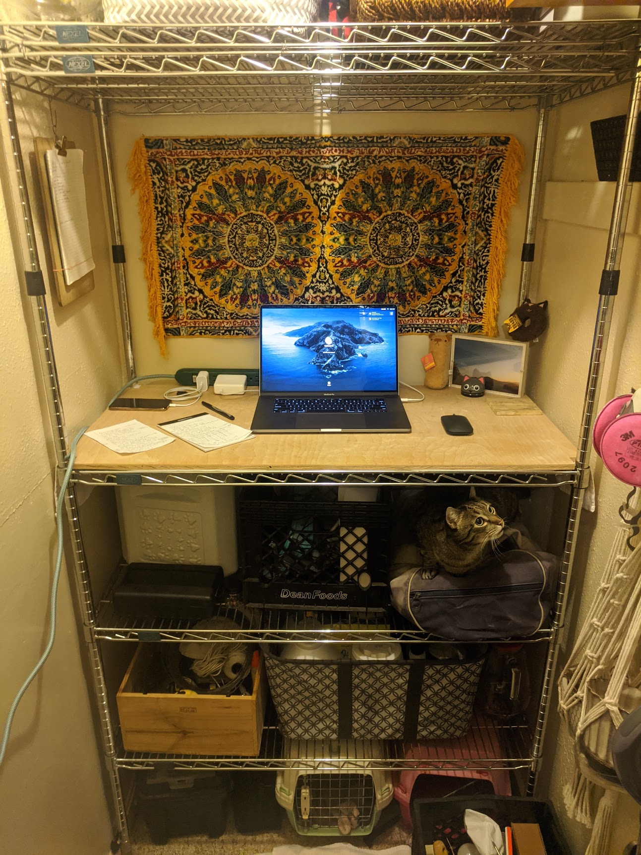 contentful