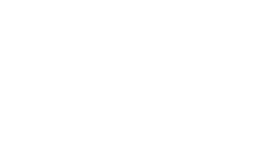 ANSI (American National Standards Institute) Logo with transparent background