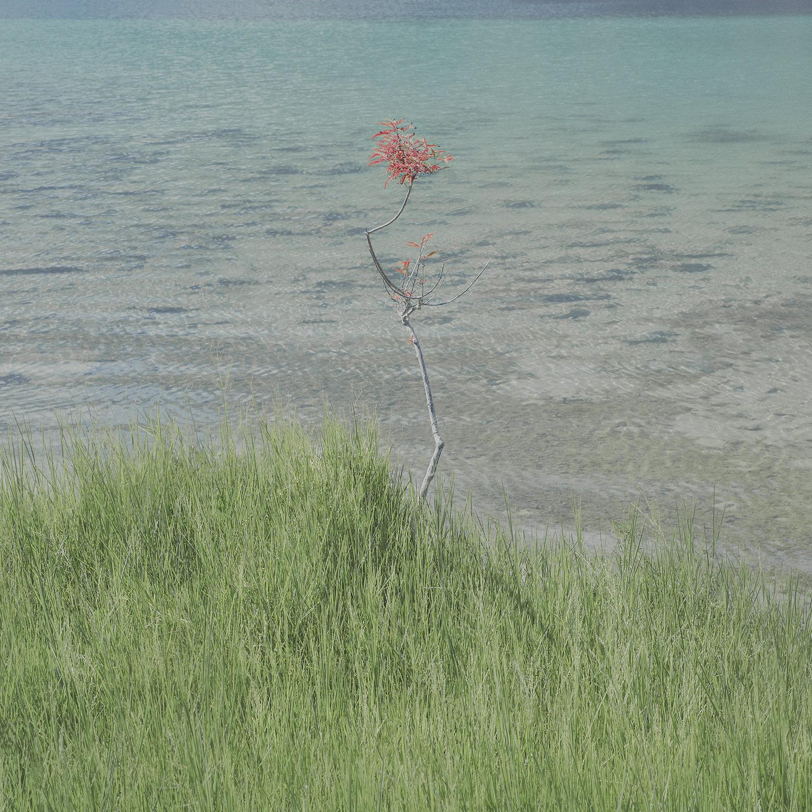 Best Photography Blogs of 2023 | Wrapbook