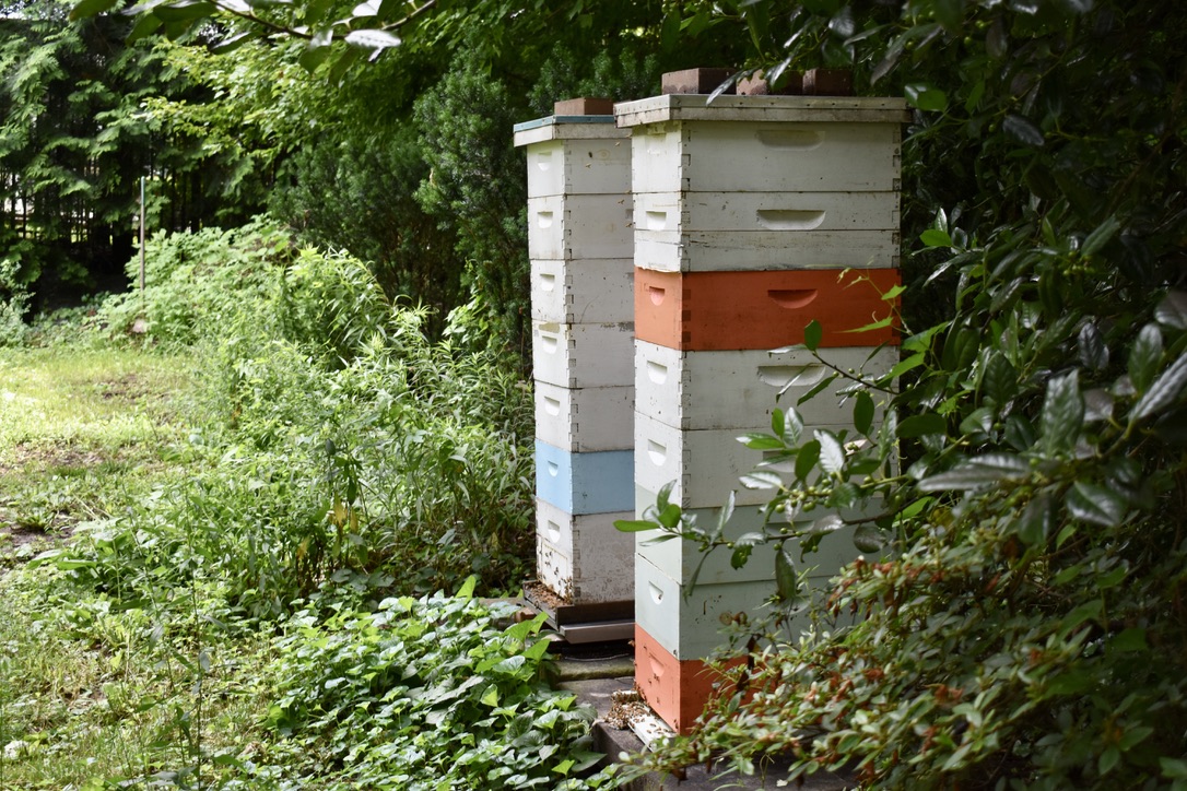 The hives at the UK Ambassador's Residence are part of a comprehensive gardening approach. Photo credit: Molly McCluskey