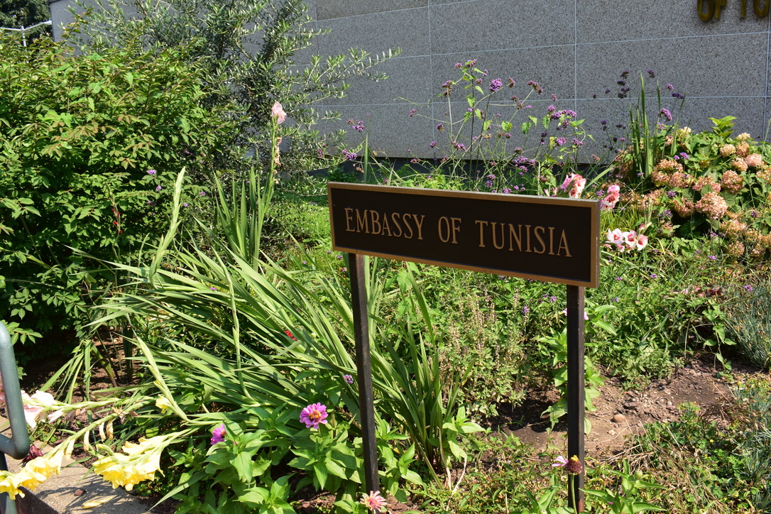 The Tunisian embassy and residence boast pollinator gardens. Photo credit: Molly McCluskey