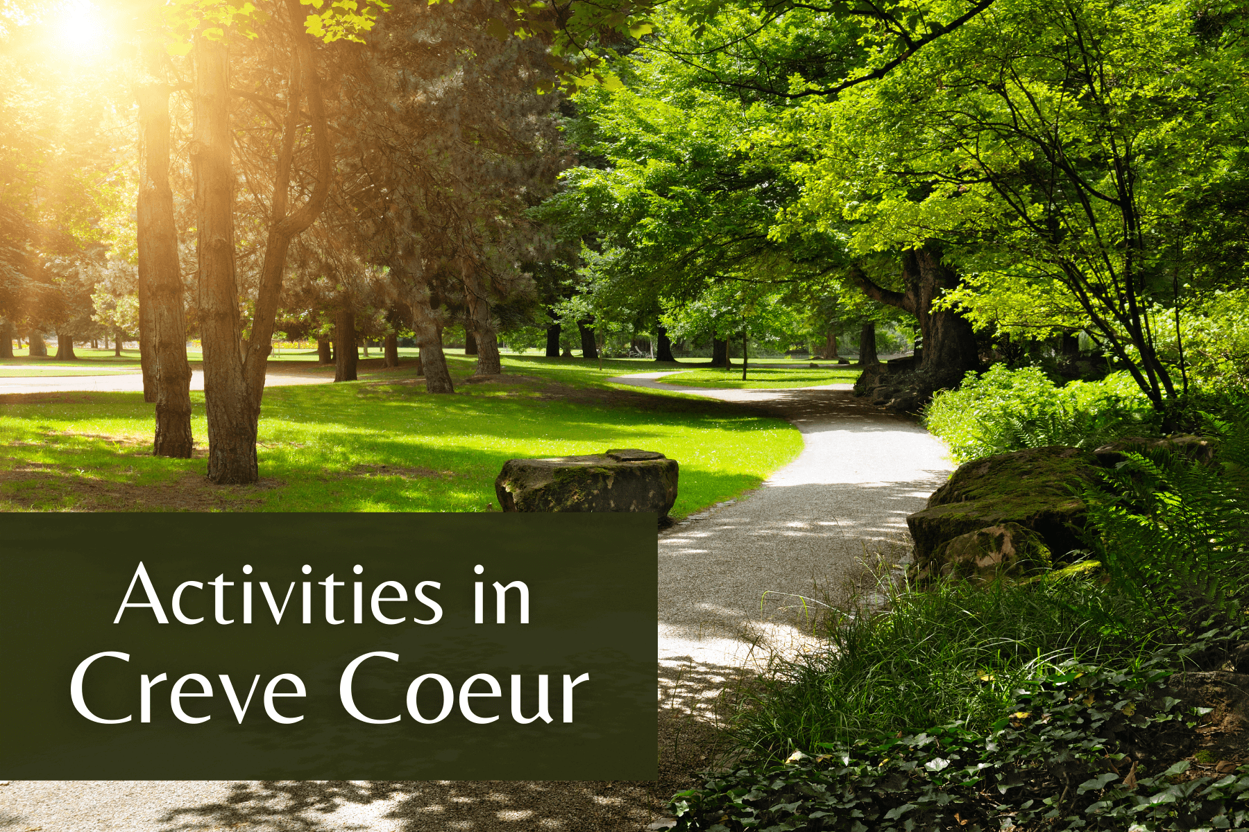 Fun activities and attractions in Creve Coeur!