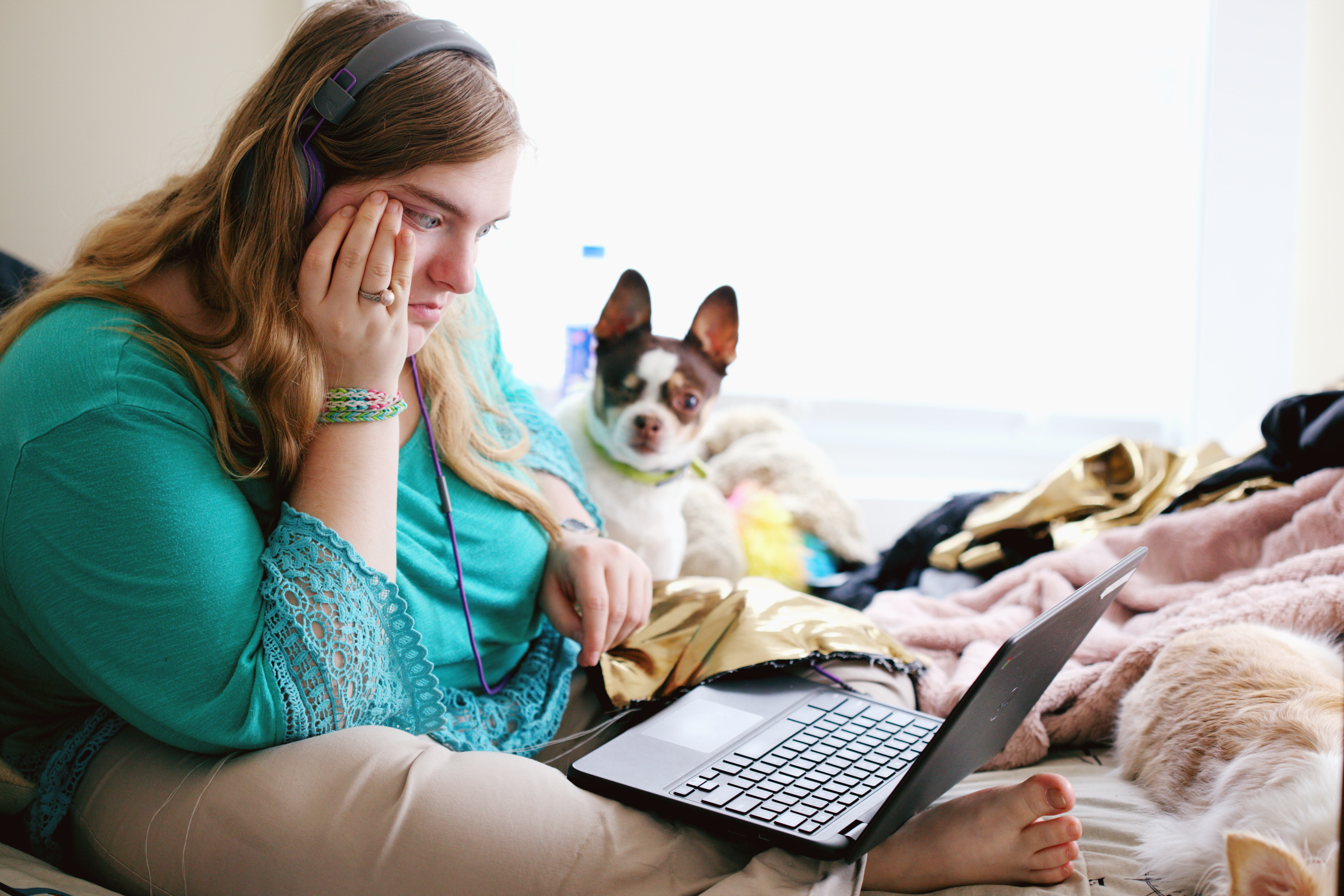 Girl browsing laptop computer, next to small dog