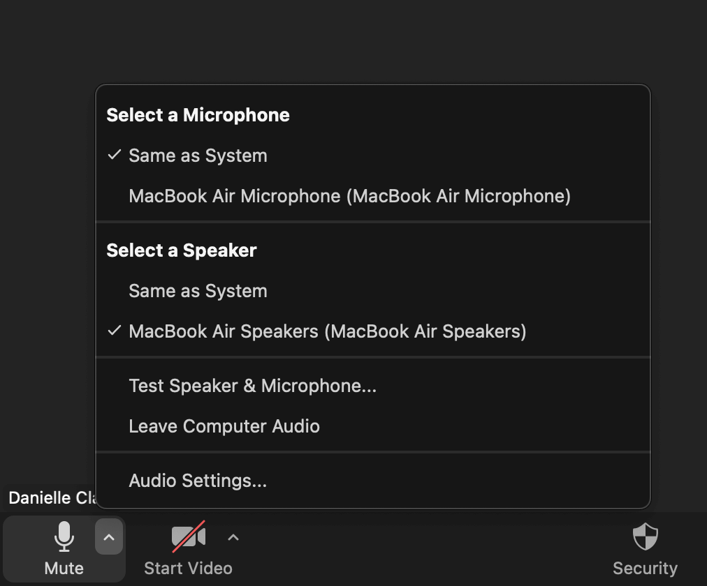 Microphone and audio menu on Zoom