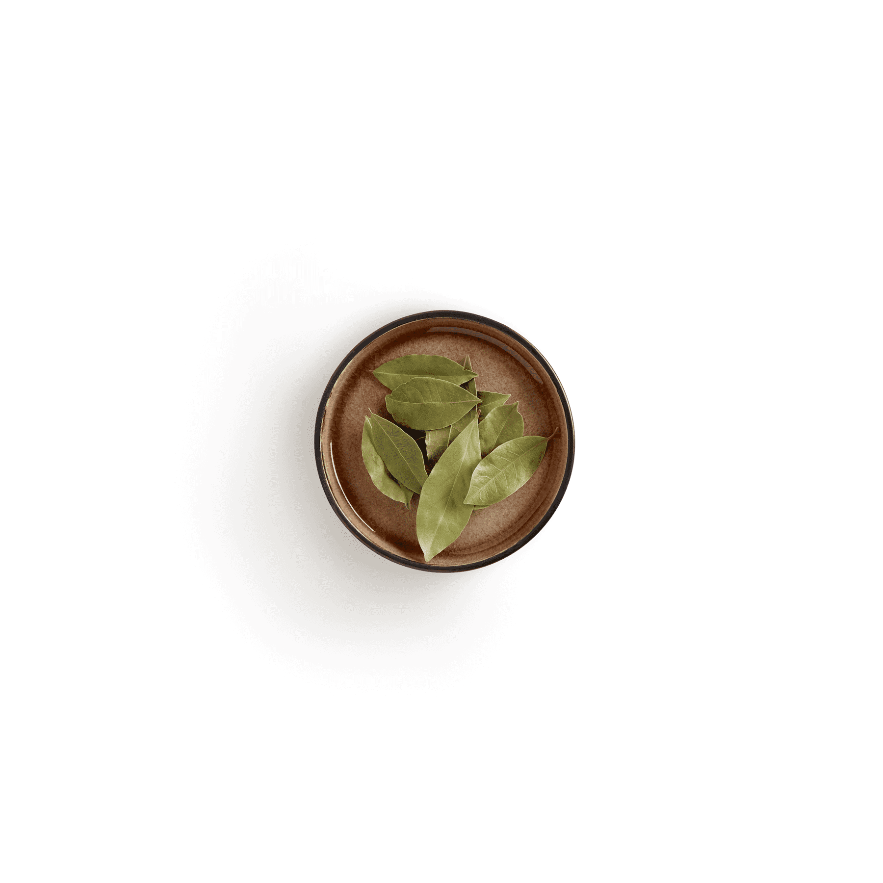 Lorbeer