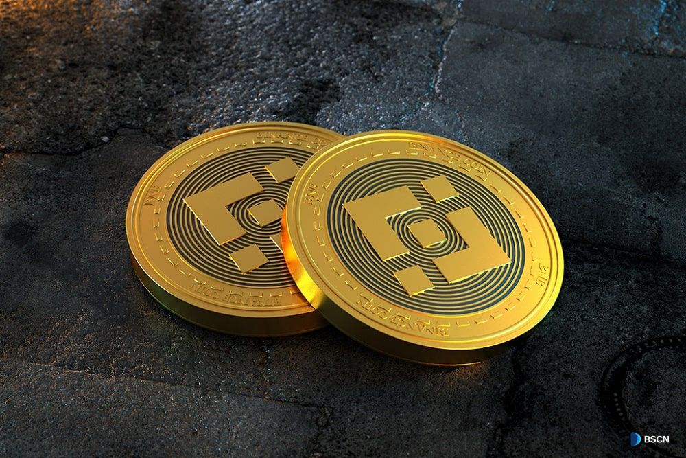 Ripple (XRP) & Binance Coin (BNB) Enthusiasts Rally Behind Meme Marvel Ripple (XRP) & Binance Coin (BNB) Enthusiasts Rally Behind Meme Marvel