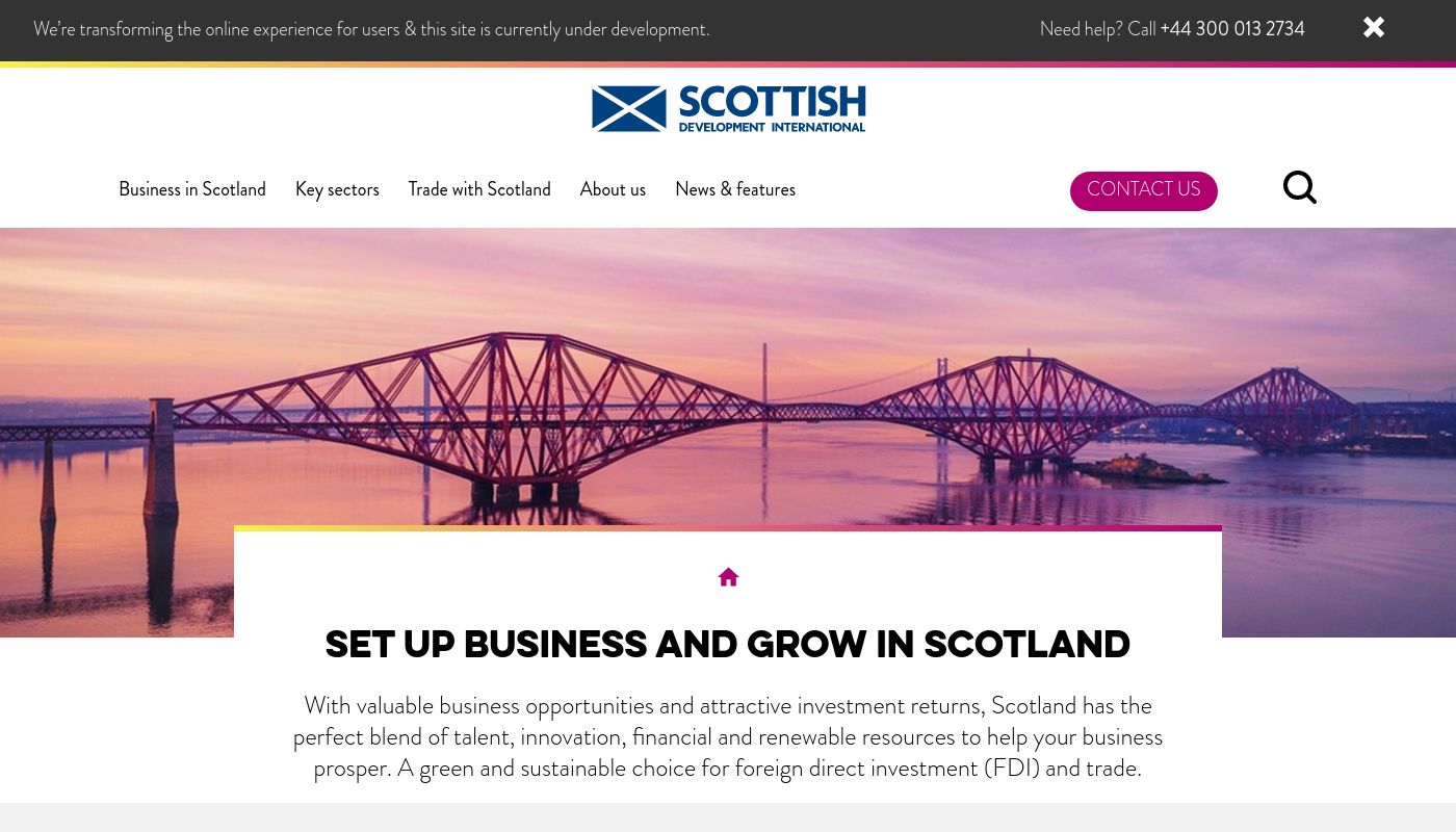 Top 174 Startups in Scotland in 2024
