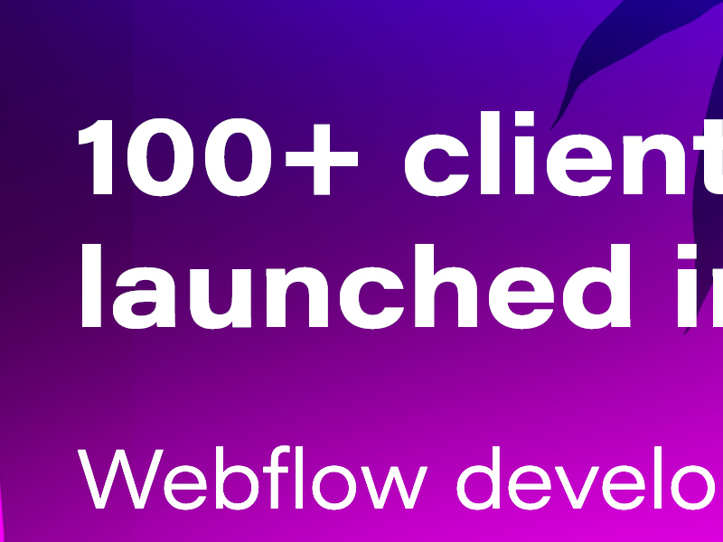 flow Experts Finsweet