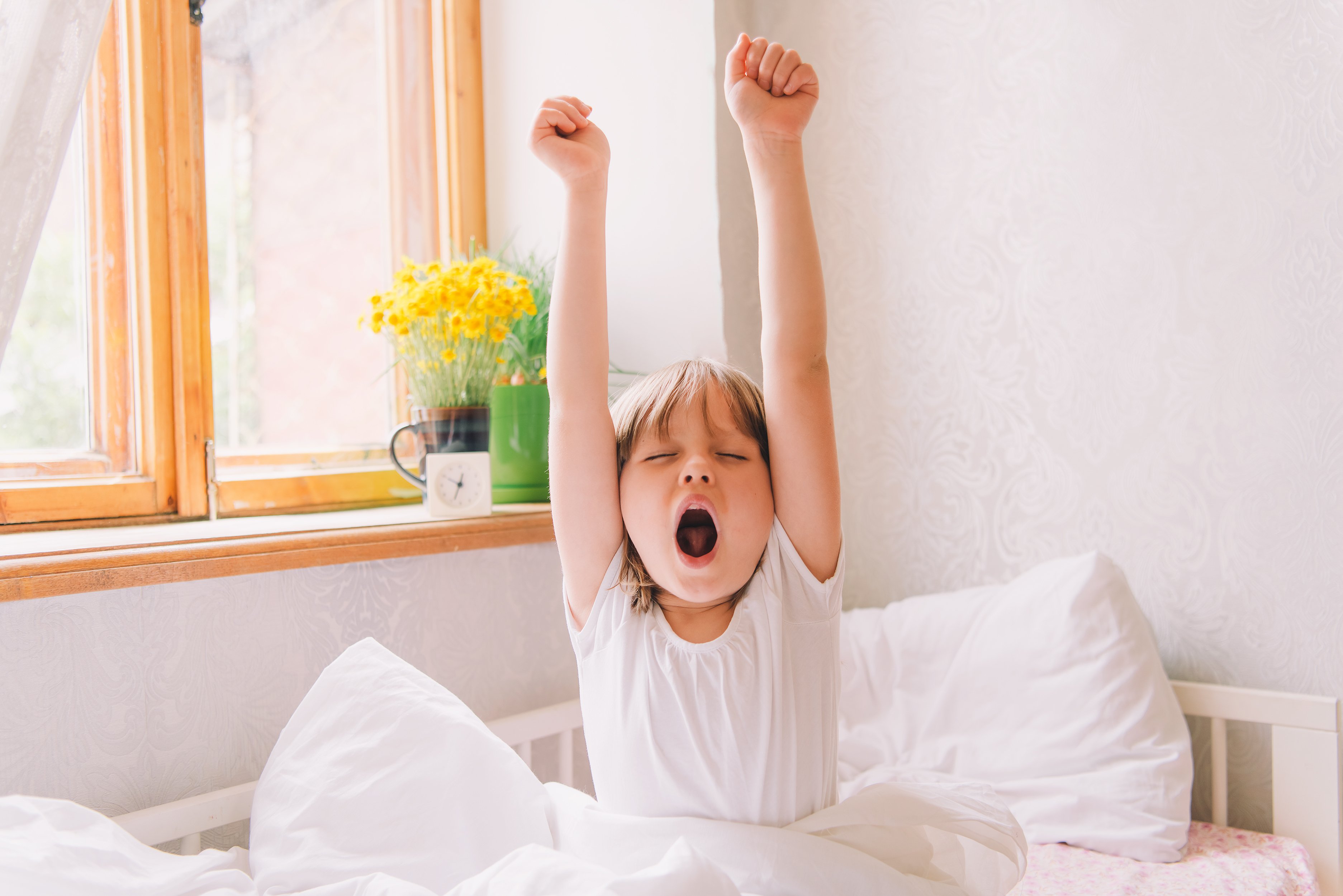 Daylight Savings Dilemma Illinoiss Struggle With The Time Shift - t20yu8k