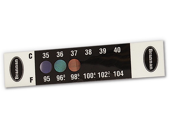 Temporal Thermometer