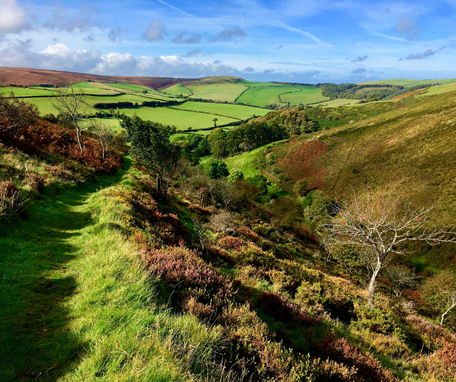 Short walks across Exmoor National Park