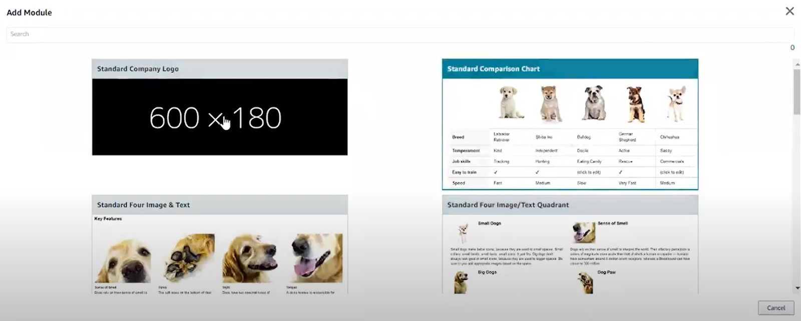 What is Amazon A+ Content? (Includes Examples, Tips, & More)