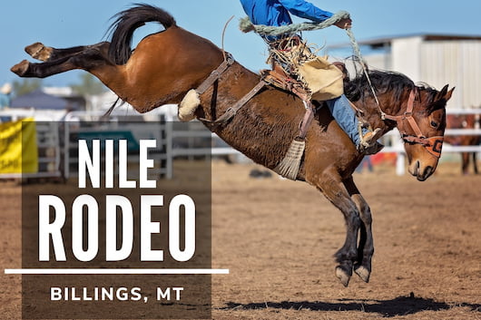 Nile Rodeo Billings, MT 2021