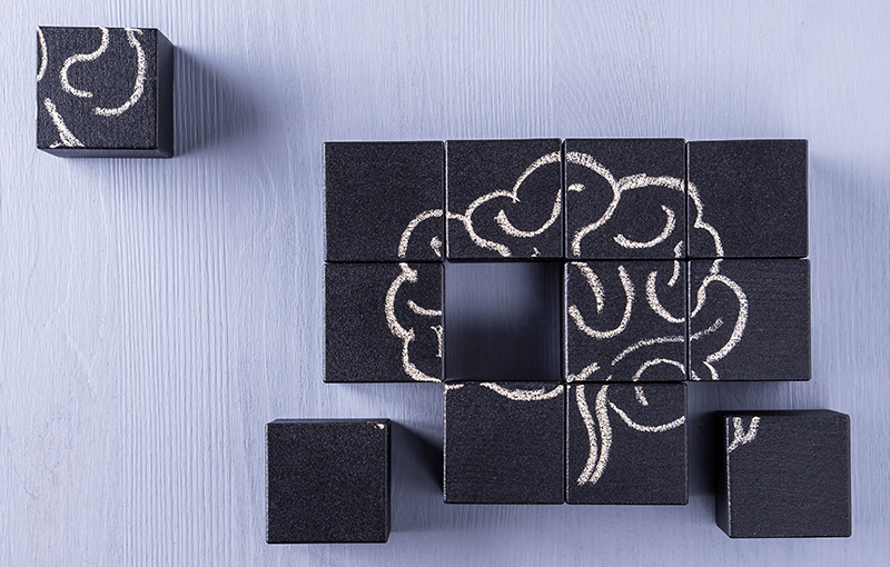 A series of black blocks placed together, with a chalk brain drawn over top - Neovation Learning Solutions