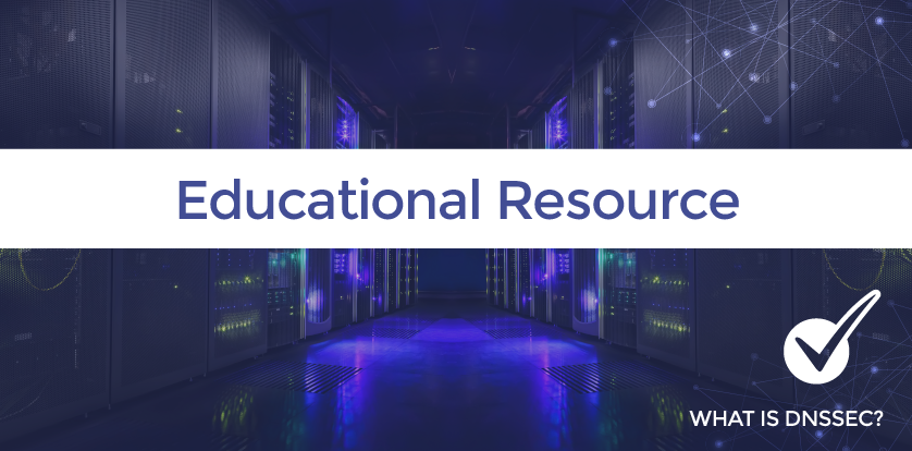 DNS Provider Resource