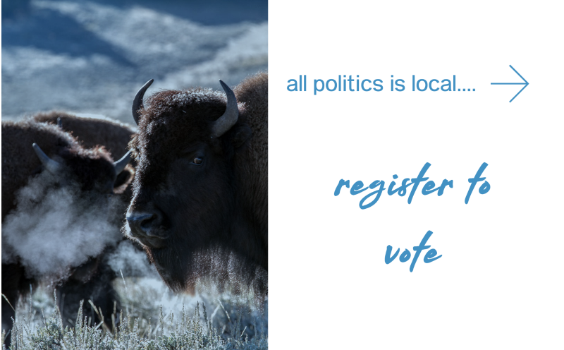 Register to vote in Wyoming