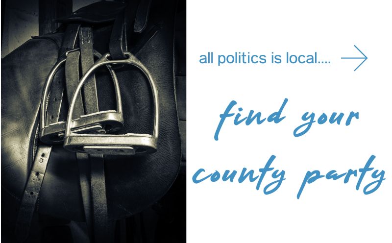 Wyoming County Democratic Parties