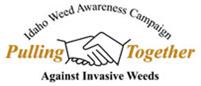IWAC