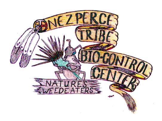 Tribe