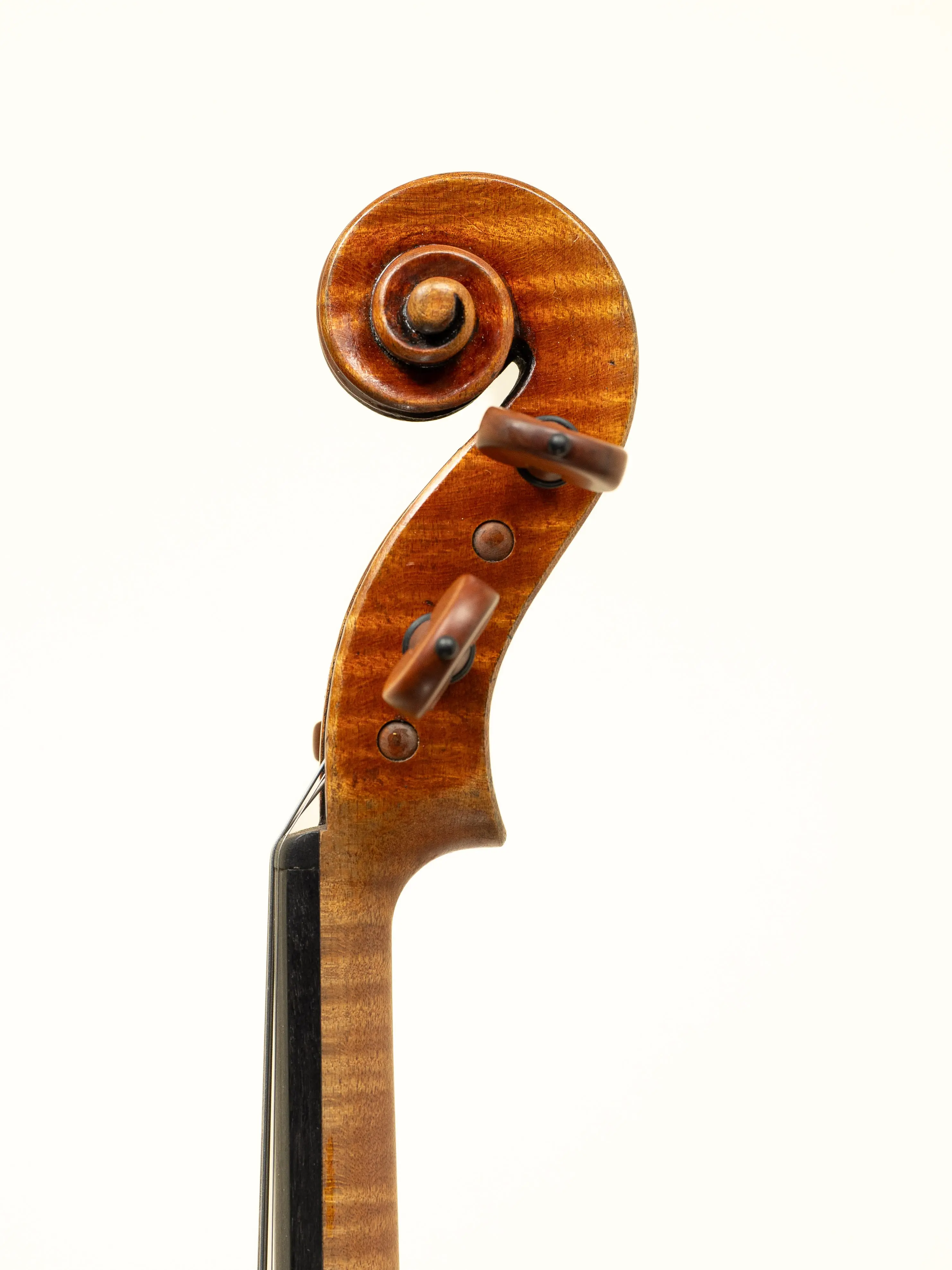 Violin by Joseph Curtin, 2023, Ann Arbor, USA MyLuthier