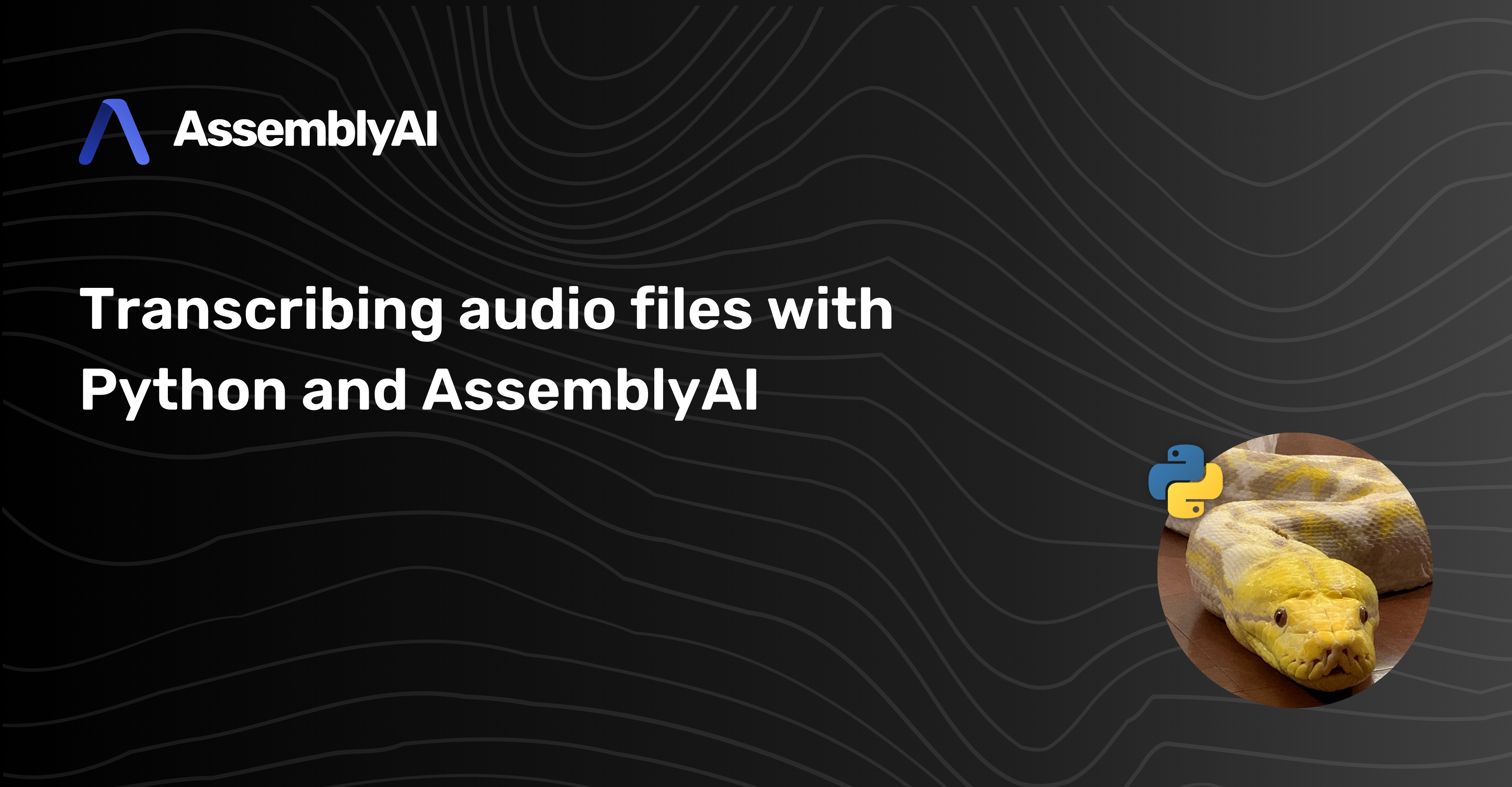 How to transcribe an audio file with Python and AssemblyAI
