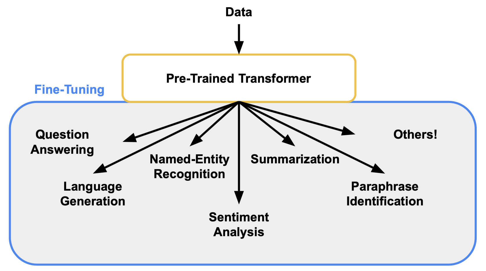 Transformers named entity recognition. Lora LLM Fine-tunning. Finetune LLM. Why Fine-tunning. Pre trained transformer