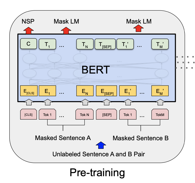 How Fine-tuning Changes BERT