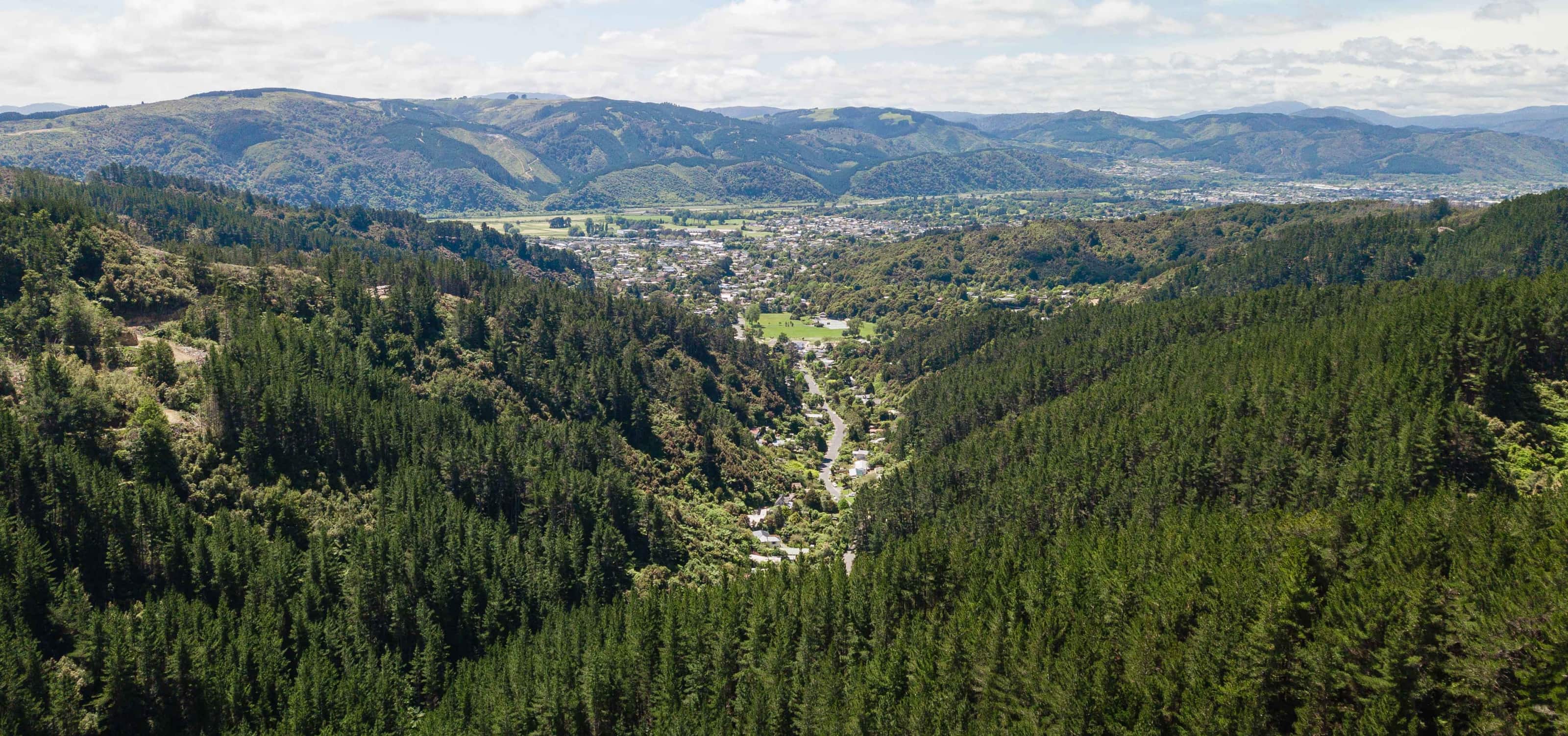 About | Silverstream Forest | Upper Hutt, NZ