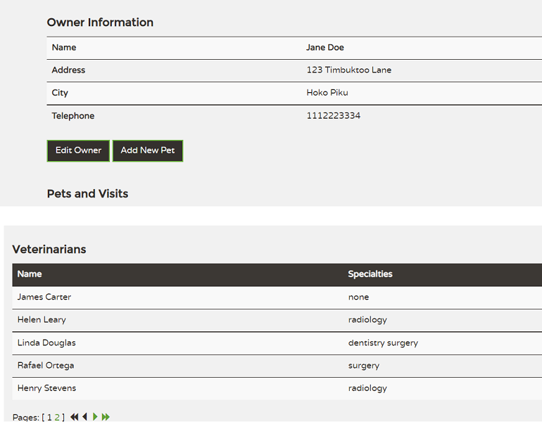 Spring Boot running application