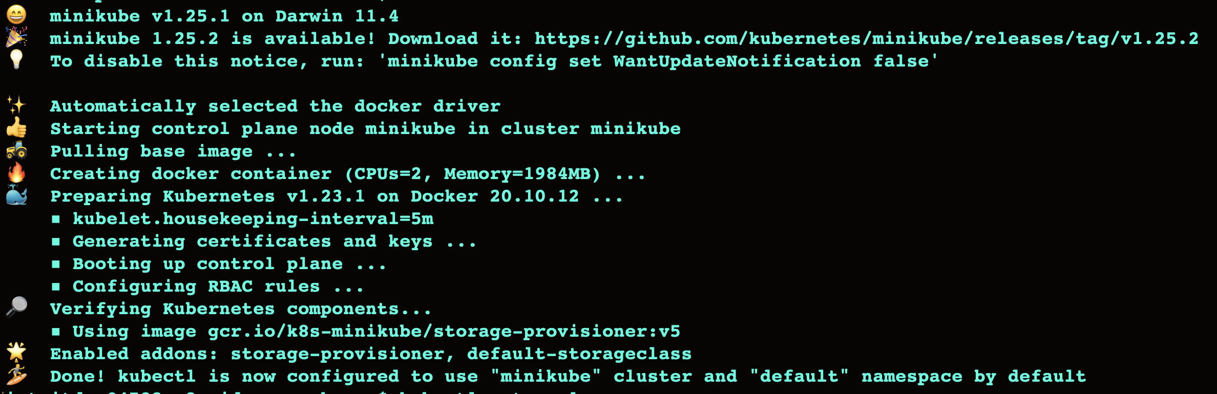 Minikube startup