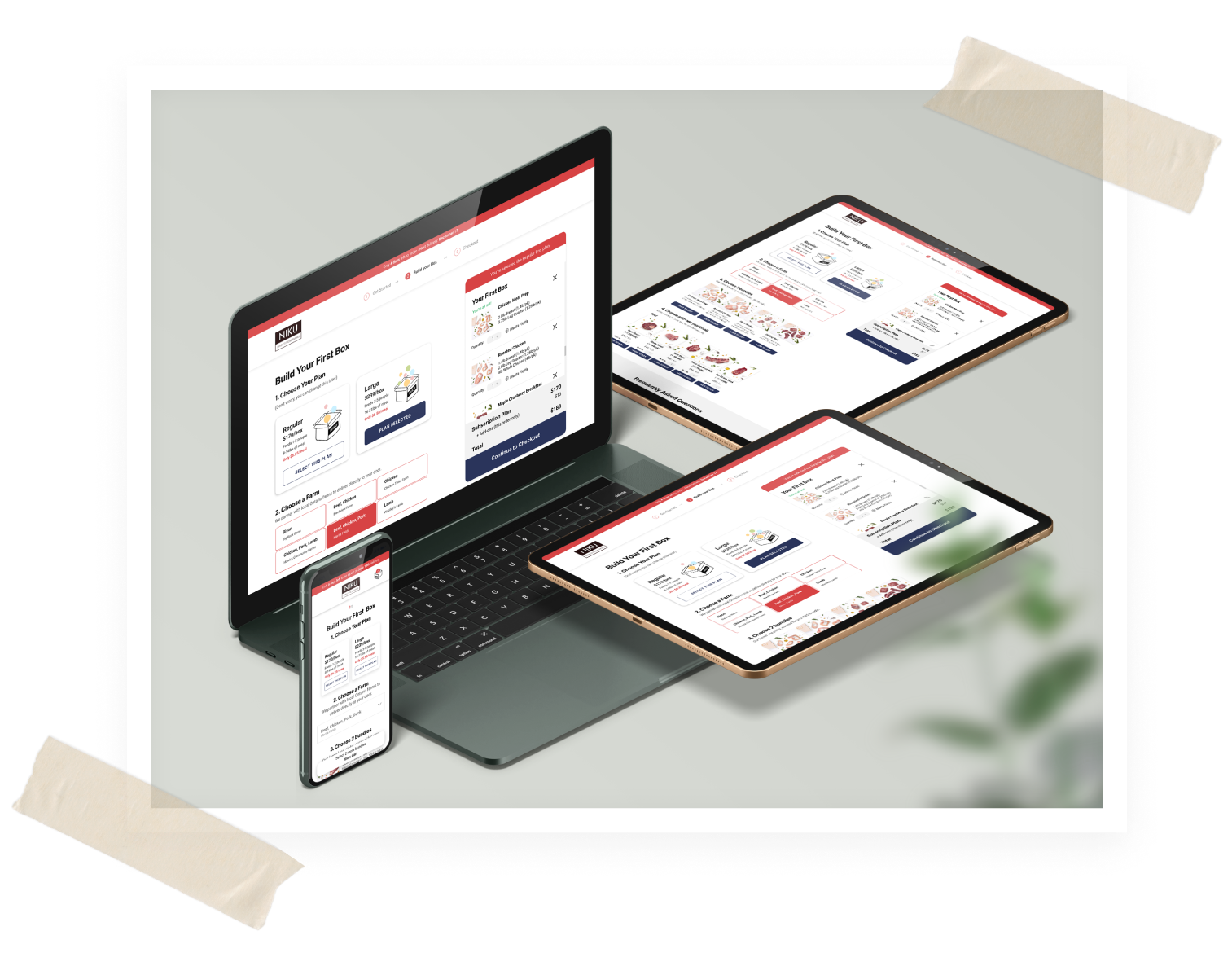 Mocked up interface of NIKU redesign.
