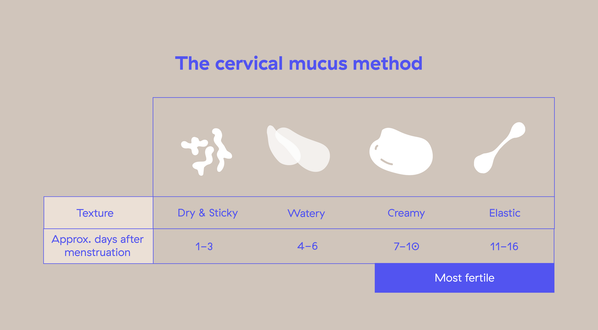 the cervical mucus infographic