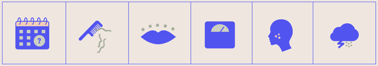 Symtpoms of PCOS icons